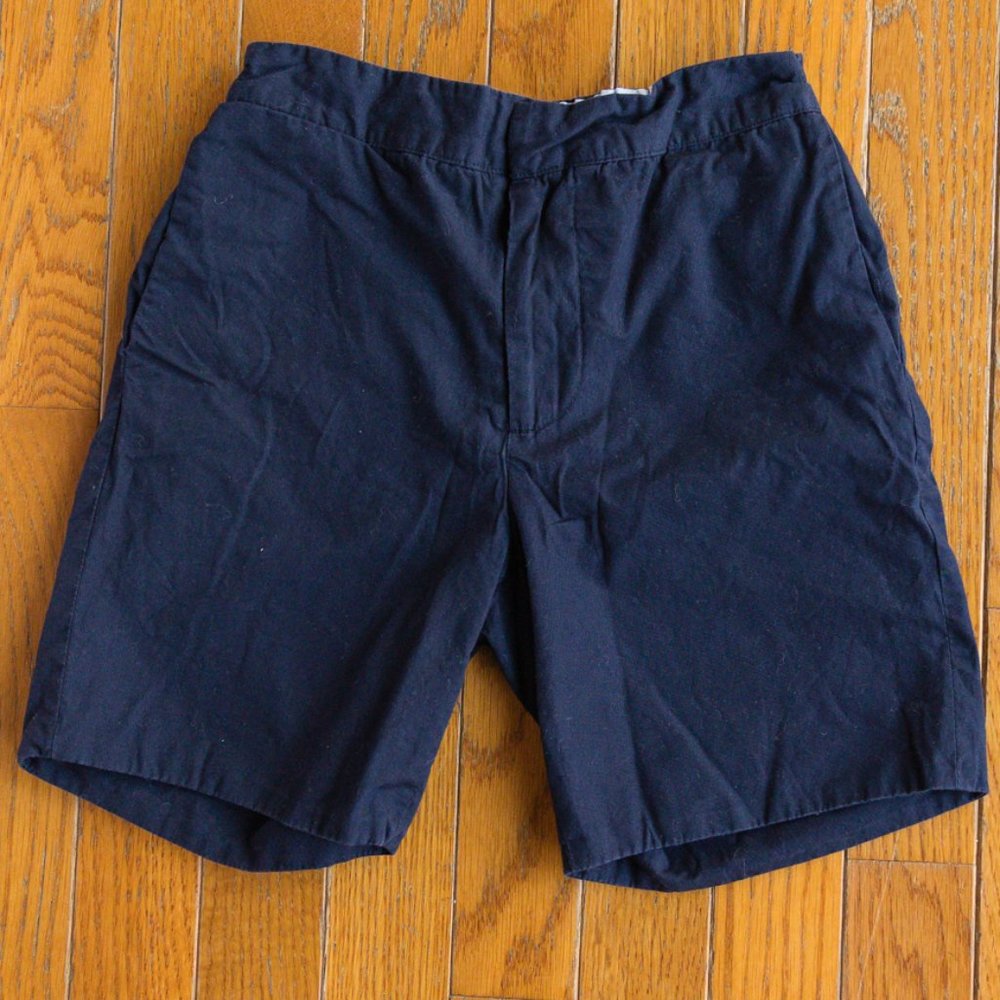 CZ by Carolina Zapf Blue shorts EUC